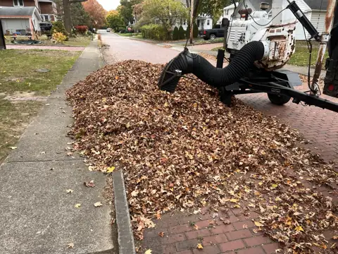 A large leaf pile beside leaf pickup equipment