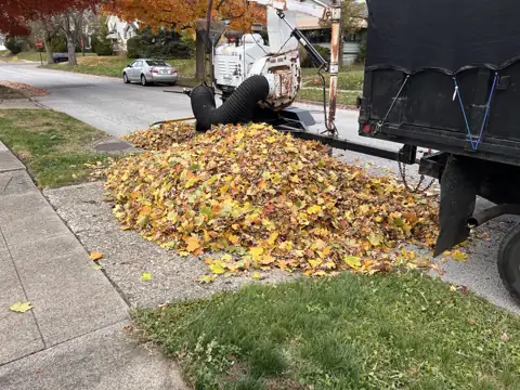 A yellow leaf pile beside collection equipment before pickup