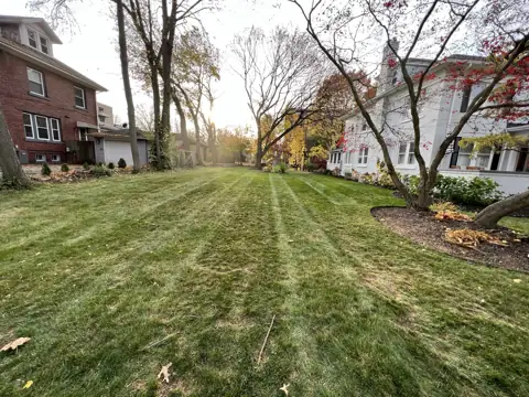 The same lawn cleared of leaves with mowing stripes after cleanup