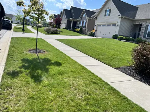 Maintained lawn and landscape beds beside a home and driveway