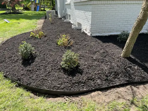 A mulched bed around an established tree beside a building