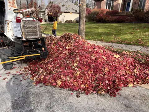 A red leaf pile beside leaf collection equipment