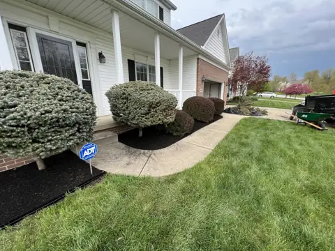 Rounded shrubs and mulched beds along a home entry path