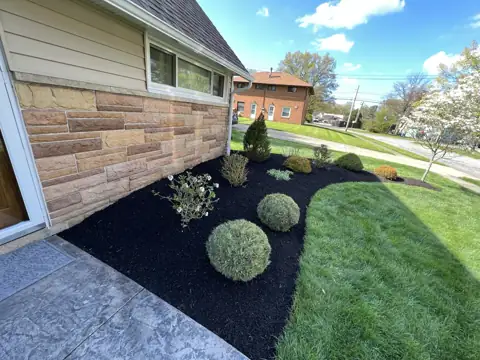 Rounded shrubs and dark mulch in a maintained landscape bed