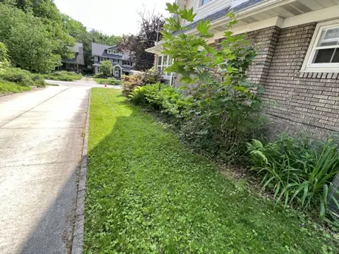 An overgrown bed beside a brick home before landscape work