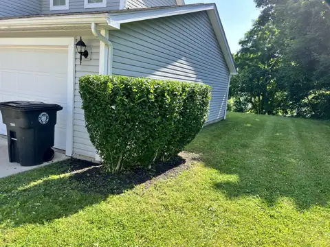 A neatly squared hedge beside a garage and lawn