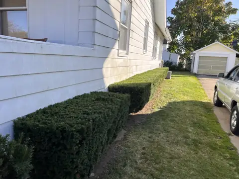A neat hedge line beside a home and lawn